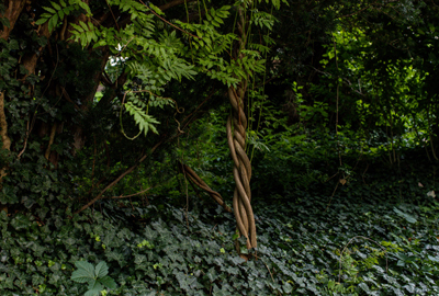 Refined image lawn and landscape, softscapes, snow & ice, lawn cutting & maintenance, residential & commercial lawn care, dunnville, ON